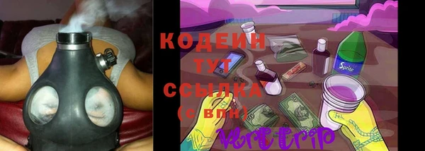 прущие грибы Балабаново