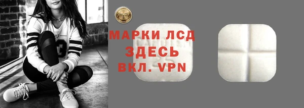 прущие грибы Балабаново