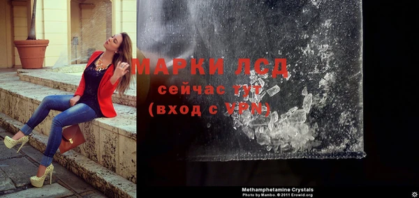 прущие грибы Балабаново