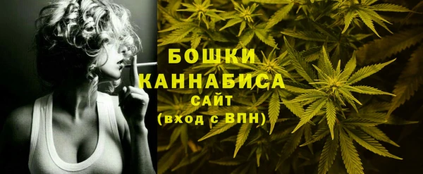 PSILOCYBIN Баксан