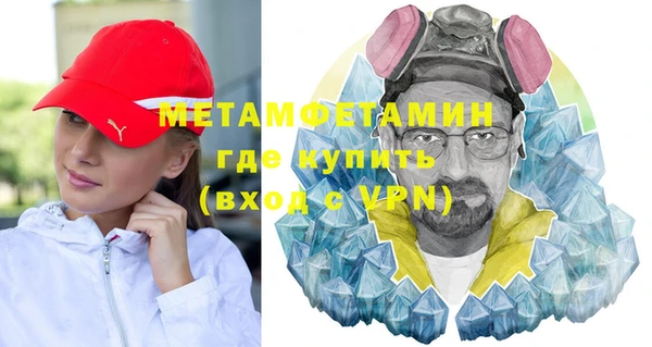 прущие грибы Балабаново